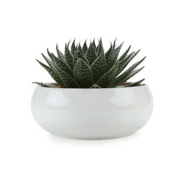 165CMDesign Rotondo Bianco sempliceCeramica Vaso di Fiori Pianta Succulente Cactus Vaso di Fiori Giardino i vasi di Fiori vasi di Piante