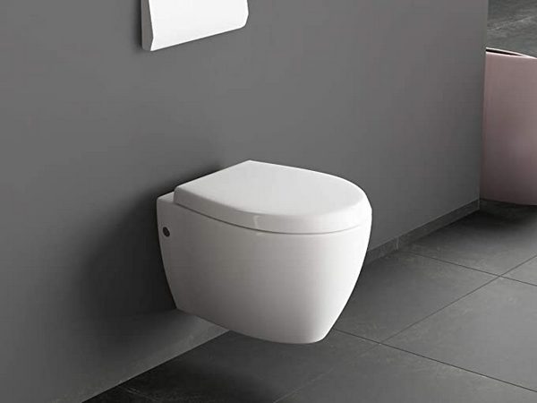 WC con bidet incorporato: una soluzione pratica e igienica 3